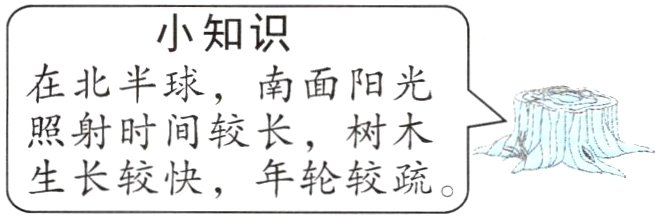 生长较快年轮较疏