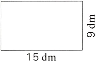 15dm