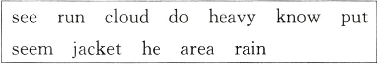 seemjackethearearain