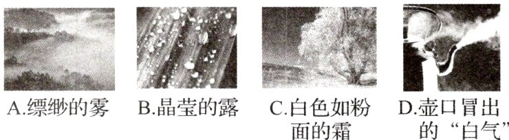 A缥缈的雾B晶莹的露C白色如粉D壶口冒出的“白气”面的霜