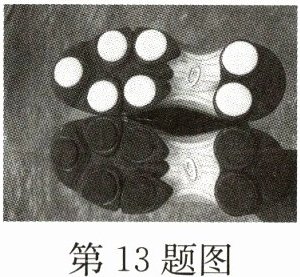 第13题图
