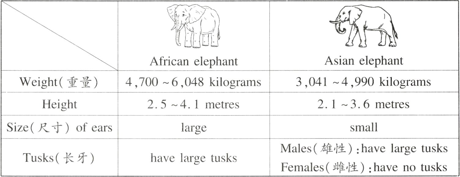Tusks长牙havelargetusks