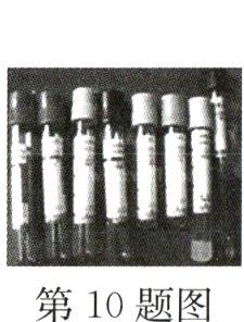 第10题图