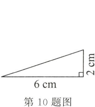 第10题图
