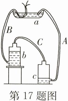 第17题图