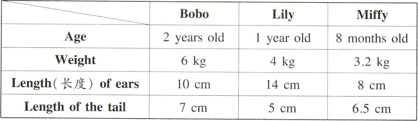 Lengthofthetail7cm5cm65cm