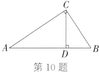 第10题