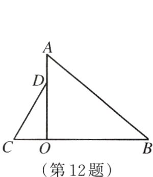 第12题
