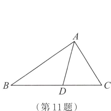 第11题
