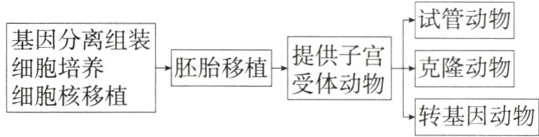 细胞核移植转基因动物
