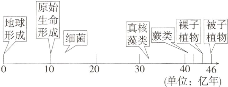 1020304046单位亿年