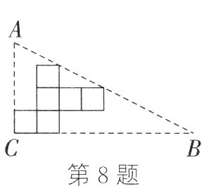 第8题