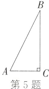 第5题