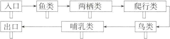 出口哺乳类鸟类