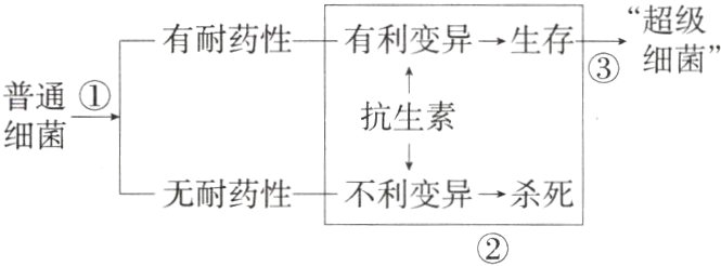 无耐药性不利变异杀死