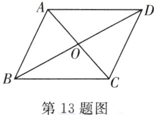 第13题图