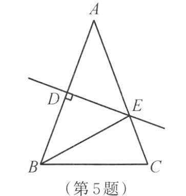 第5题