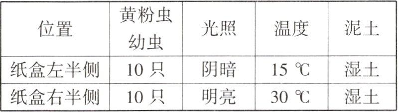 纸盒右半侧10只明亮30湿土