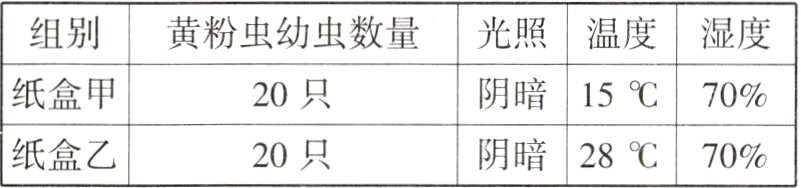 纸盒乙阴暗2820只70