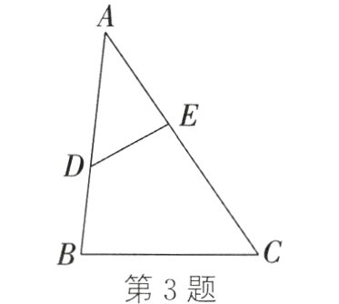 第3题