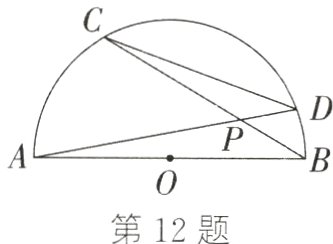 第12题