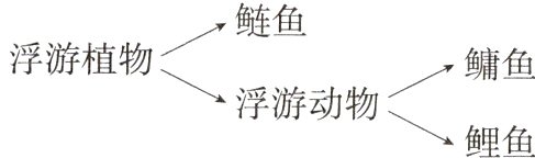 浮游动物鱼鲤鱼