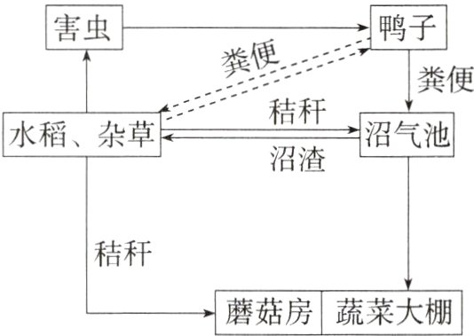 蘑菇房蔬菜大棚
