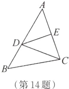 第14题