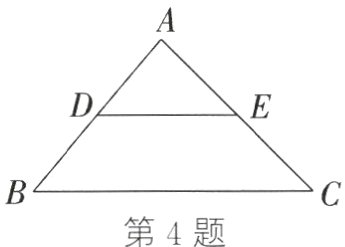 第4题