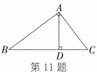 第11题