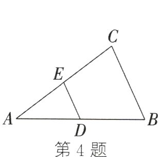 第4题