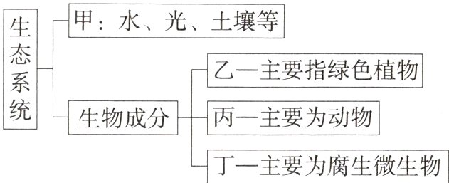 丁主要为腐生微生物