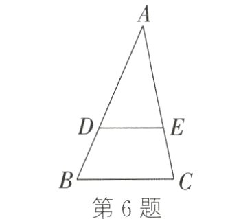 第6题