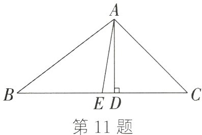 第11题