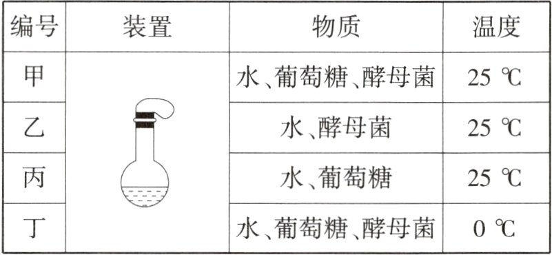 水葡萄糖酵母菌0