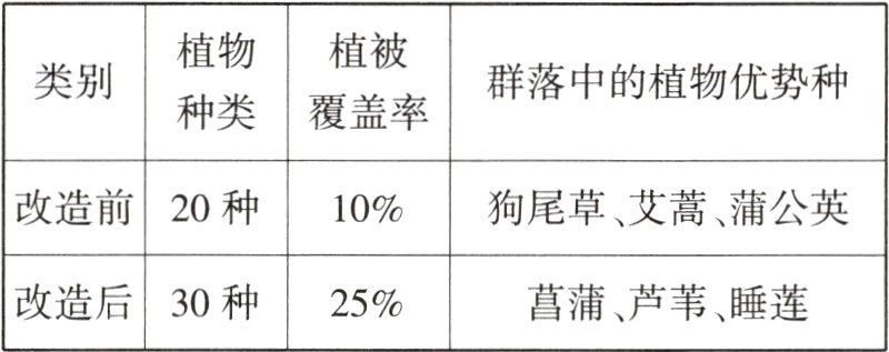 改造后30种25菖蒲芦苇睡莲