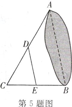 第5题图