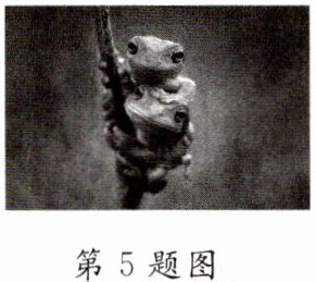 第5题图