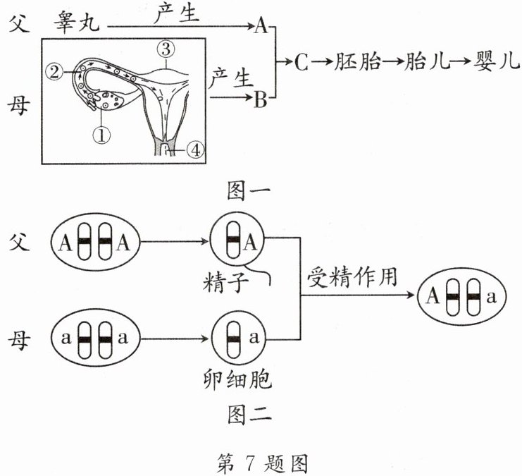 第7题图