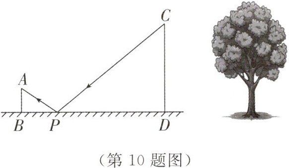 (第10题图)