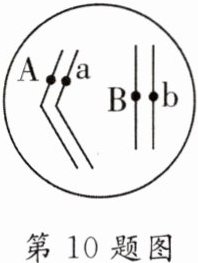 第10题图
