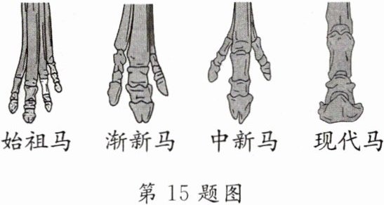 第15题图