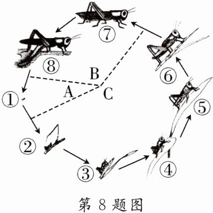 第8题图