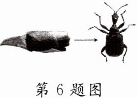 第6题图