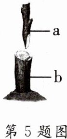 第5题图