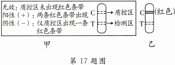 第17题图