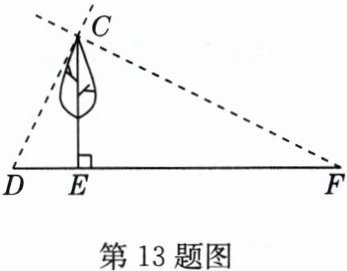 第13题图