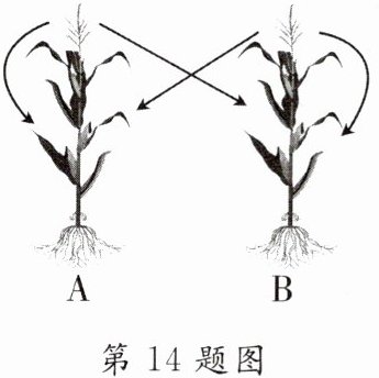 第14题图
