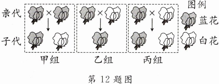 第12题图
