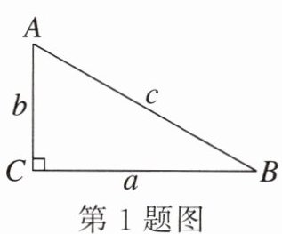 第1题图